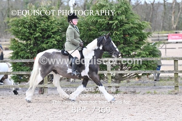 BPP_7369 - RING 1  (RIDDEN HORSES / IN HAND / VETERAN ETC)