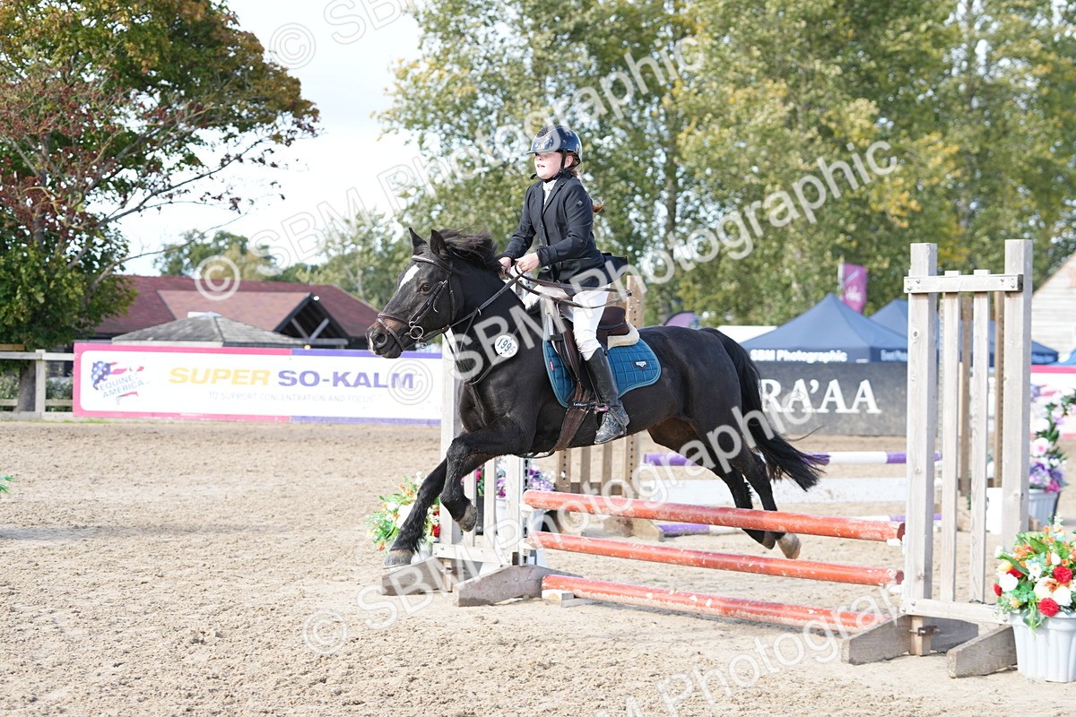 SBM_48448 - J7 - Junior Pony 60cm Championship