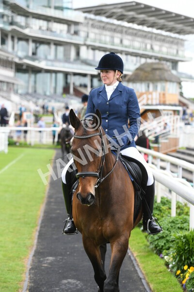 yr22052022r8e-9 - ROR - Parade Ring York