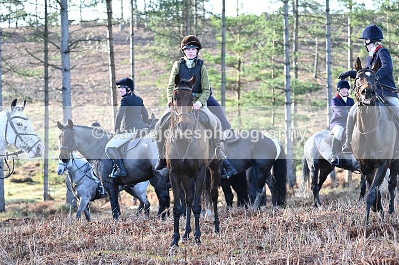 WJ7_7114 - Line 3 (no line 4 or 5)