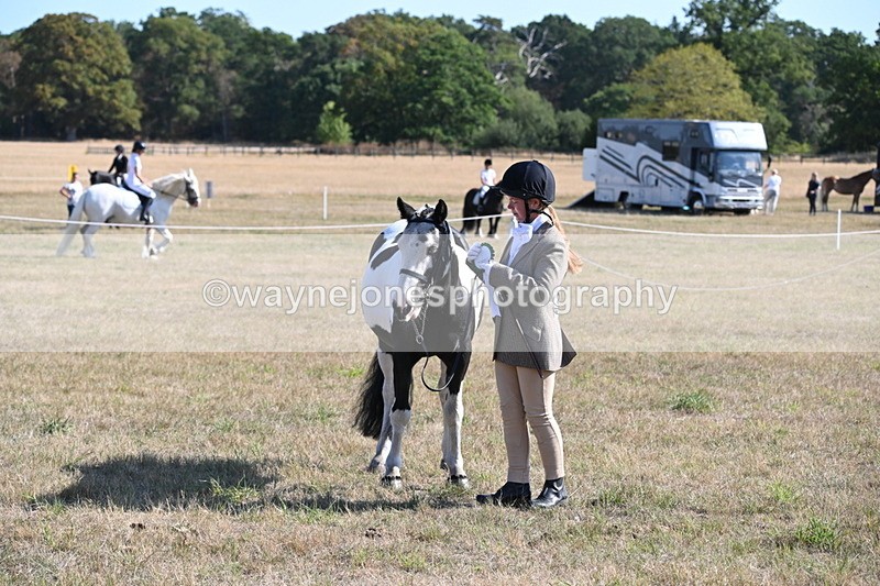 WJ6_7368 - Class 33 Rescue Pony
