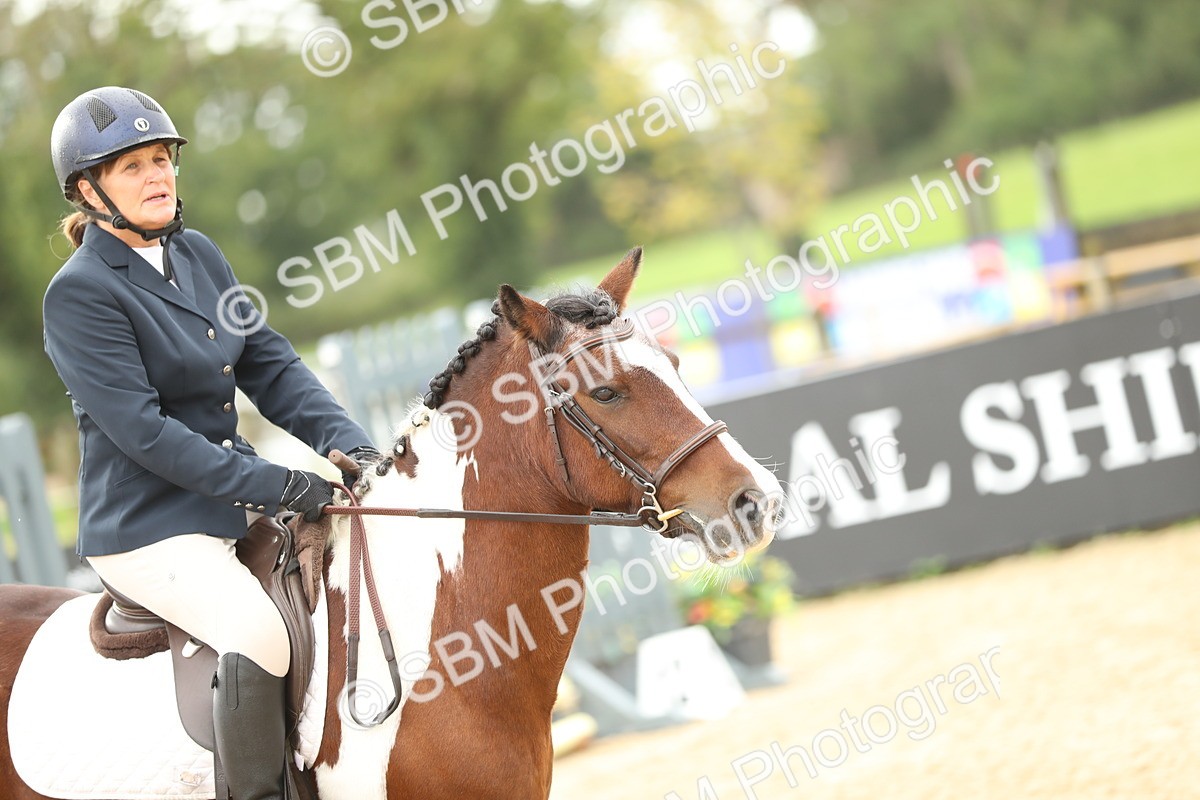 SBM_01987 - J34 - Veteran Rider 50cm