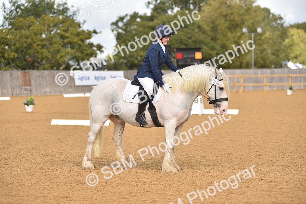 SBM_03213 - D4 - Small Tour Championship Intro 4