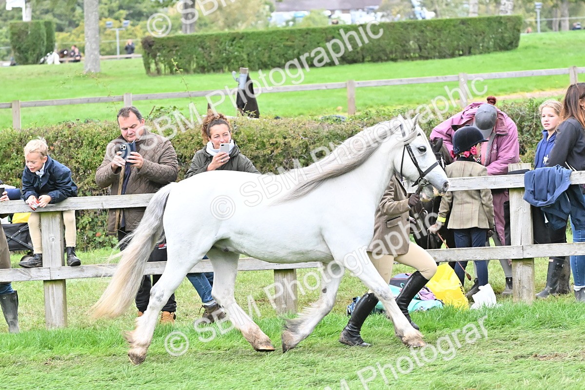 SBM_68540 - S42 - Junior Handler 9-12 Years