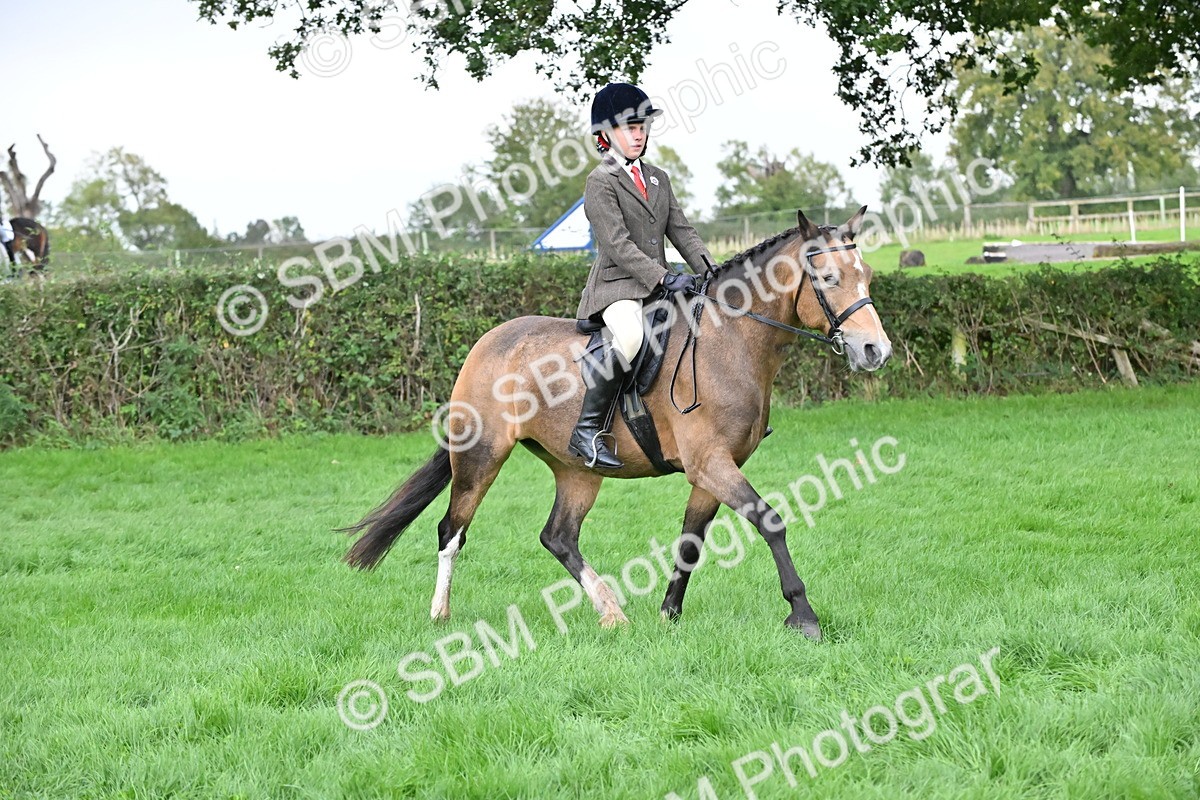 SBM_42947 - S12 - Family Horse & Pony