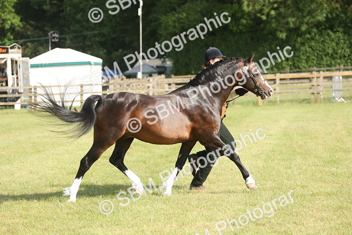 SBM_10348 - Class 33-38 - SSADL RIHS Qualifiers
