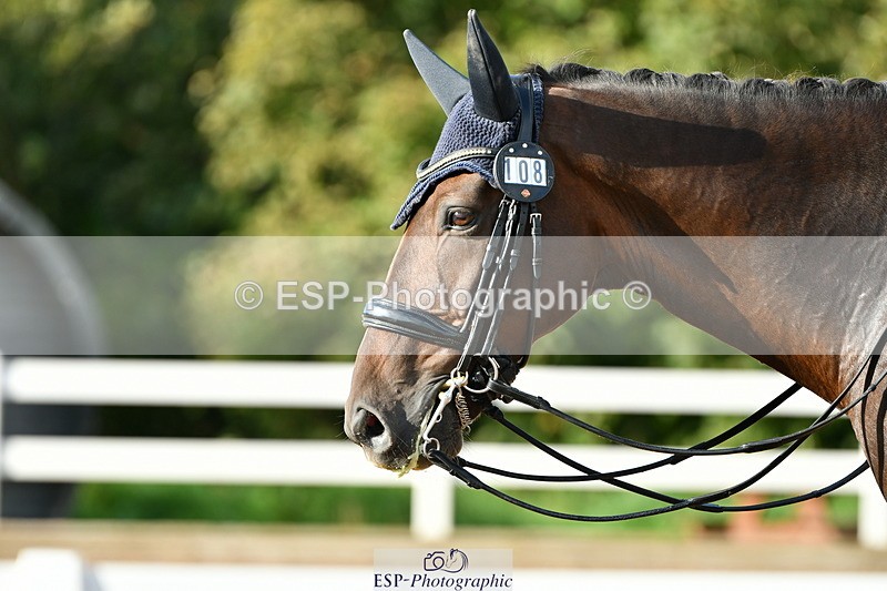 230912A-171631-01986 - Cls 23 FEI Grand Prix