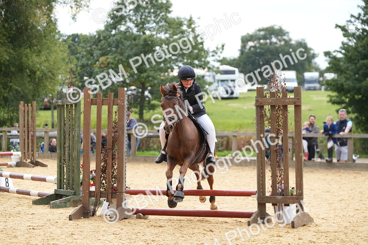 SBM_74739 - J4 - Mini Tour Junior Pony 45cm Championship
