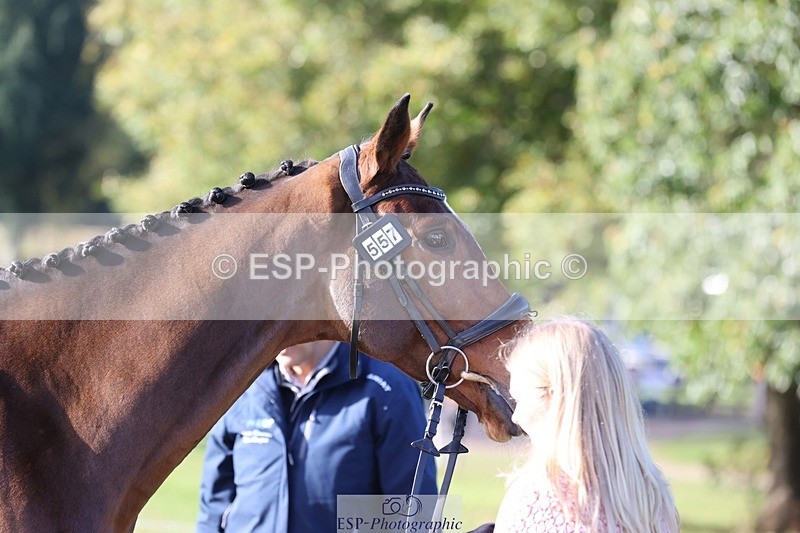 241027-101253-15748 - 557-Clara.Edwards-PIRATE.CITY