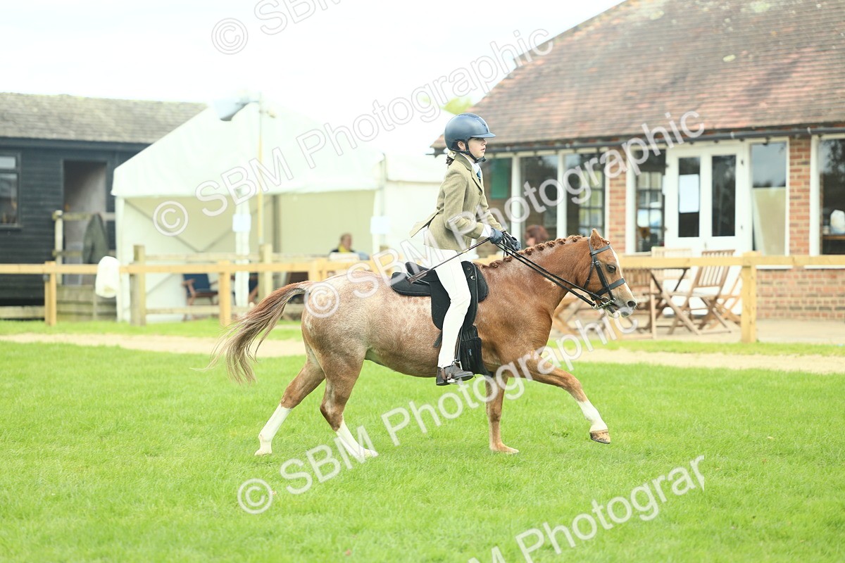 SBM_44673 - S31 - Working Hunter Pony