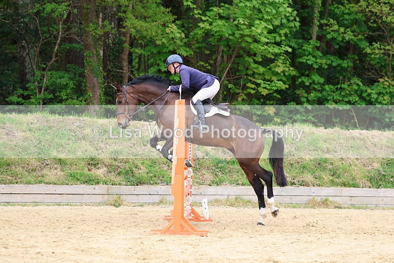 3E7A6218 - Class 4: Senior British Novice/90cm open