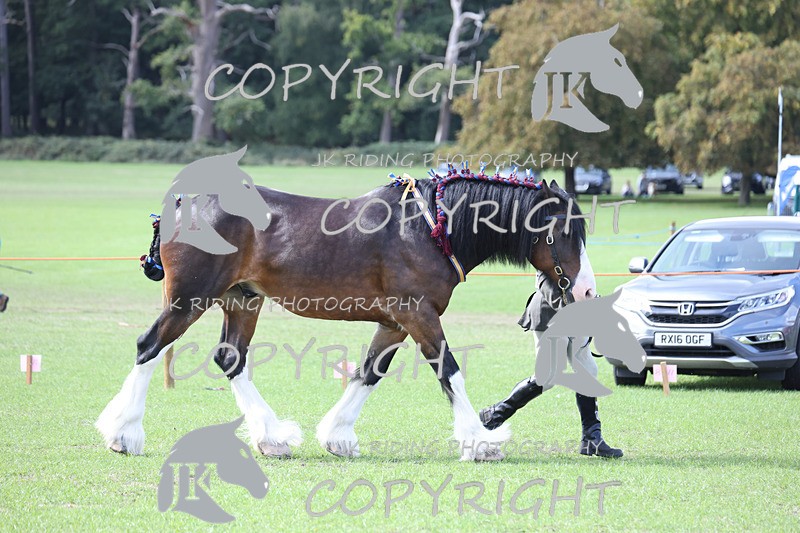 APP_3340 - Class 4 Veterans