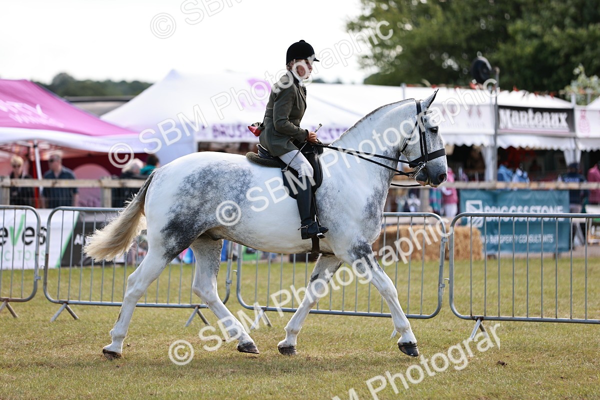 SBM_13997 - Class 85-87 - RIHS Cobs