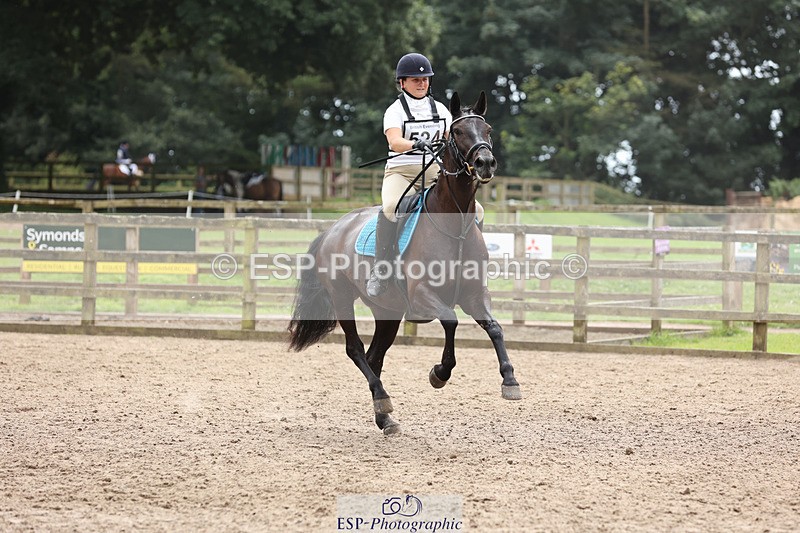 240804-125801-13520 - 524-Katie_Brickman-GREENKELD'S_MOONDANCE