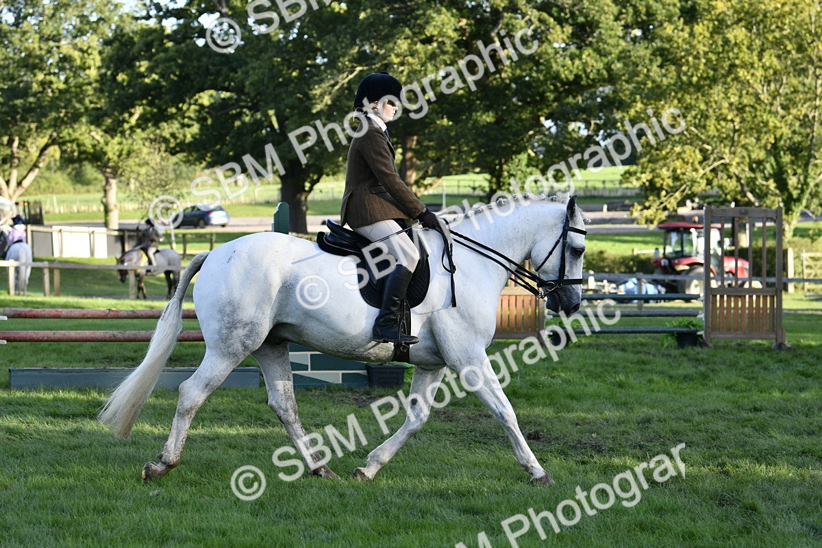 SBM_53535 - S14 - Riding Club Horse