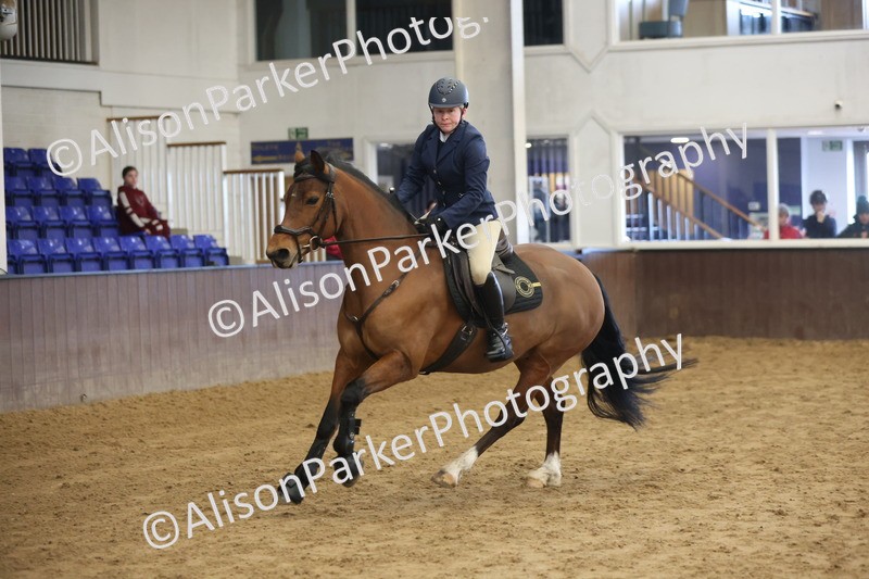 20260314-0430 - 60cm