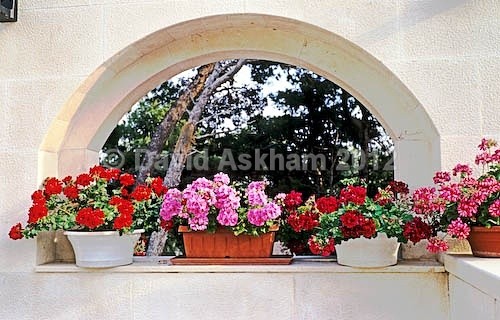 Mini-garden - Gardens & plants