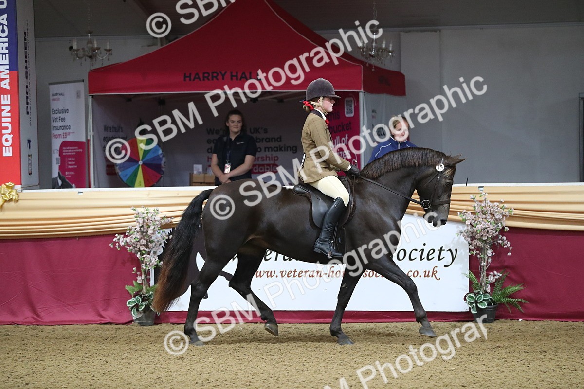 SBM_09238 - Class 101 Equitation (best rider), Junior