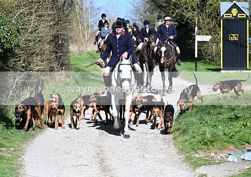 WJ7_9644 - Home for hunt tea !