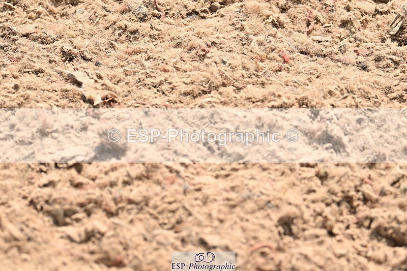 240509A-145850-02859 - Cls 5 1.05m National Am Quali