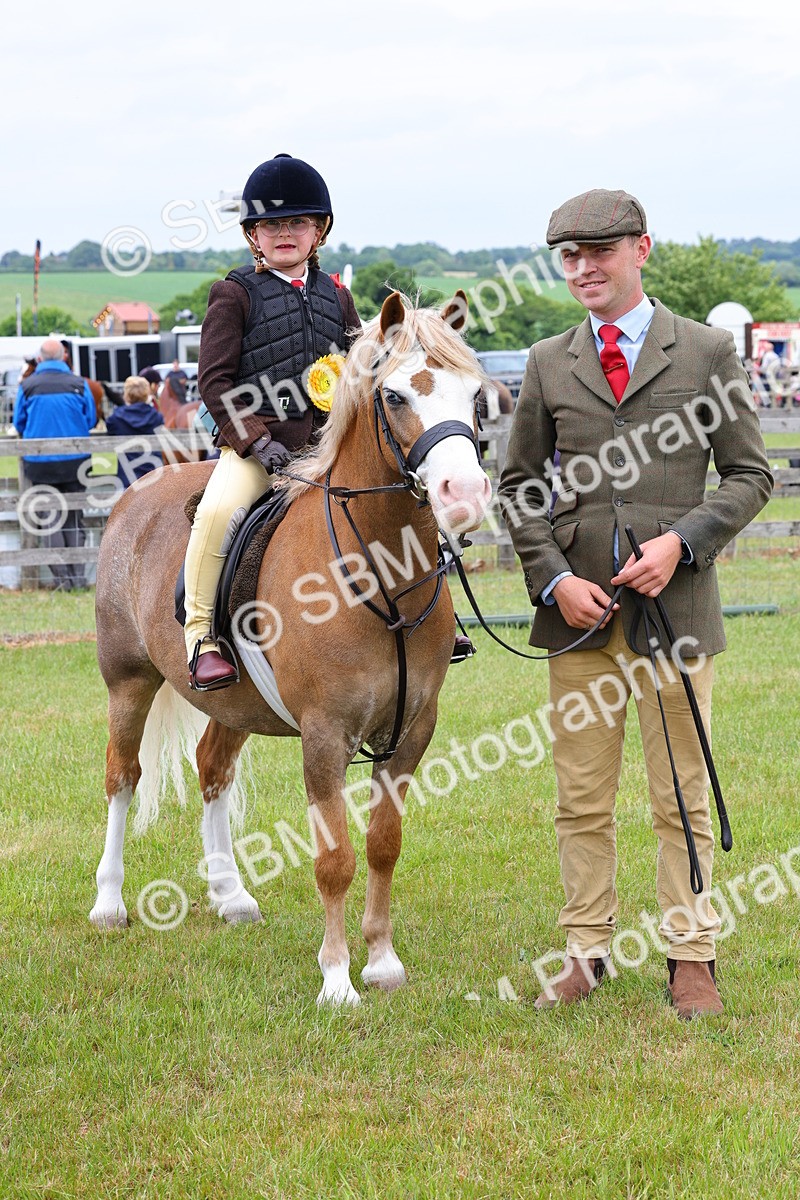 SBM_08375 - Class 42-43 - LIHS BSPS Heritage Working Sports Pony