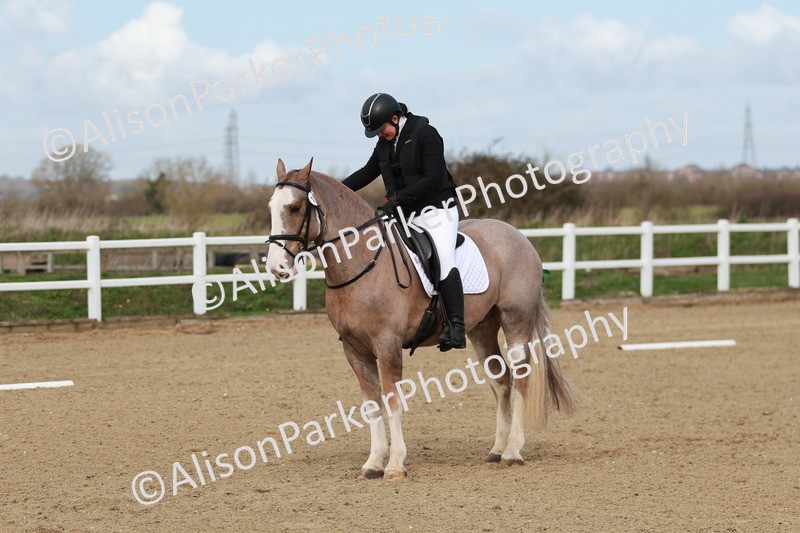 20260314-2774 - DR3 - Prelim 1