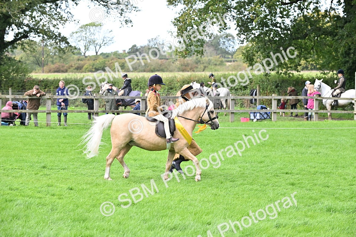 SBM_40165 - S20 - Lead Rein Mountain & Moorland Pony