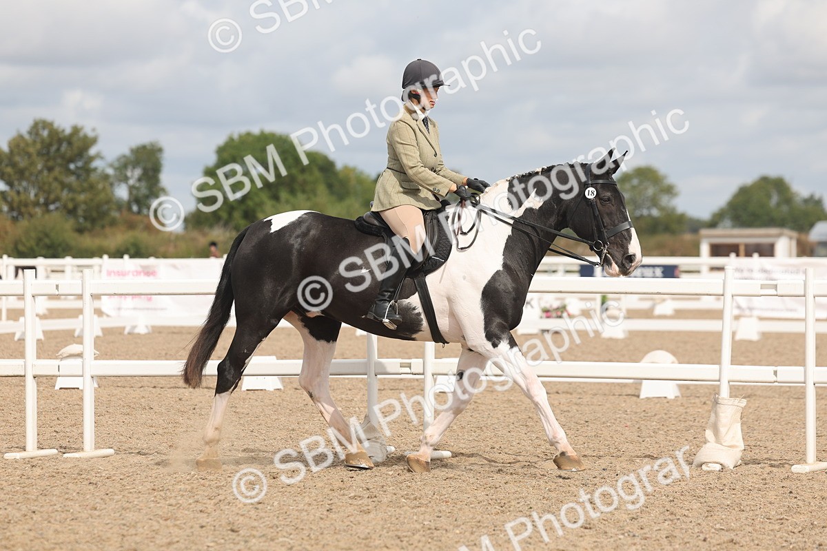 SBM_04597 - Class 19 - Horse/Pony Judge would most like to take home