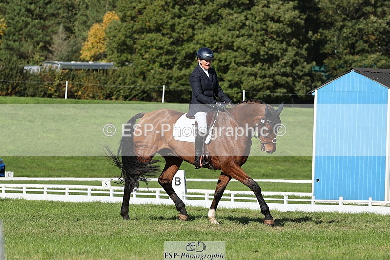 251024A-122330-10180 - D-361-Alison.Gill
