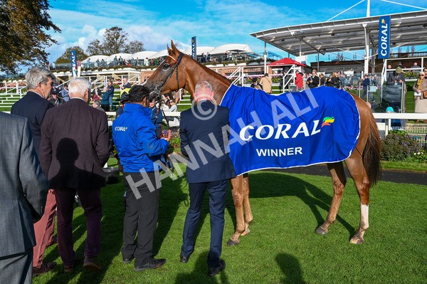 141023-Race 3-Montassib-8916 - Race 3 2.25pm Coral Sprint Trophy Handicap