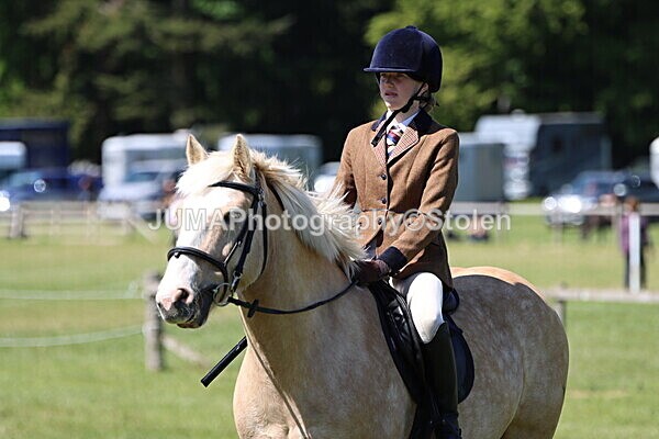 IMG_3866 - Working Hunter