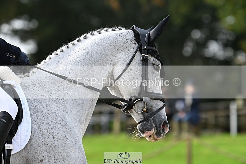 231019-121027-02679 - 042-WKD.COOLEY-Chiara.Grimaldi-DR