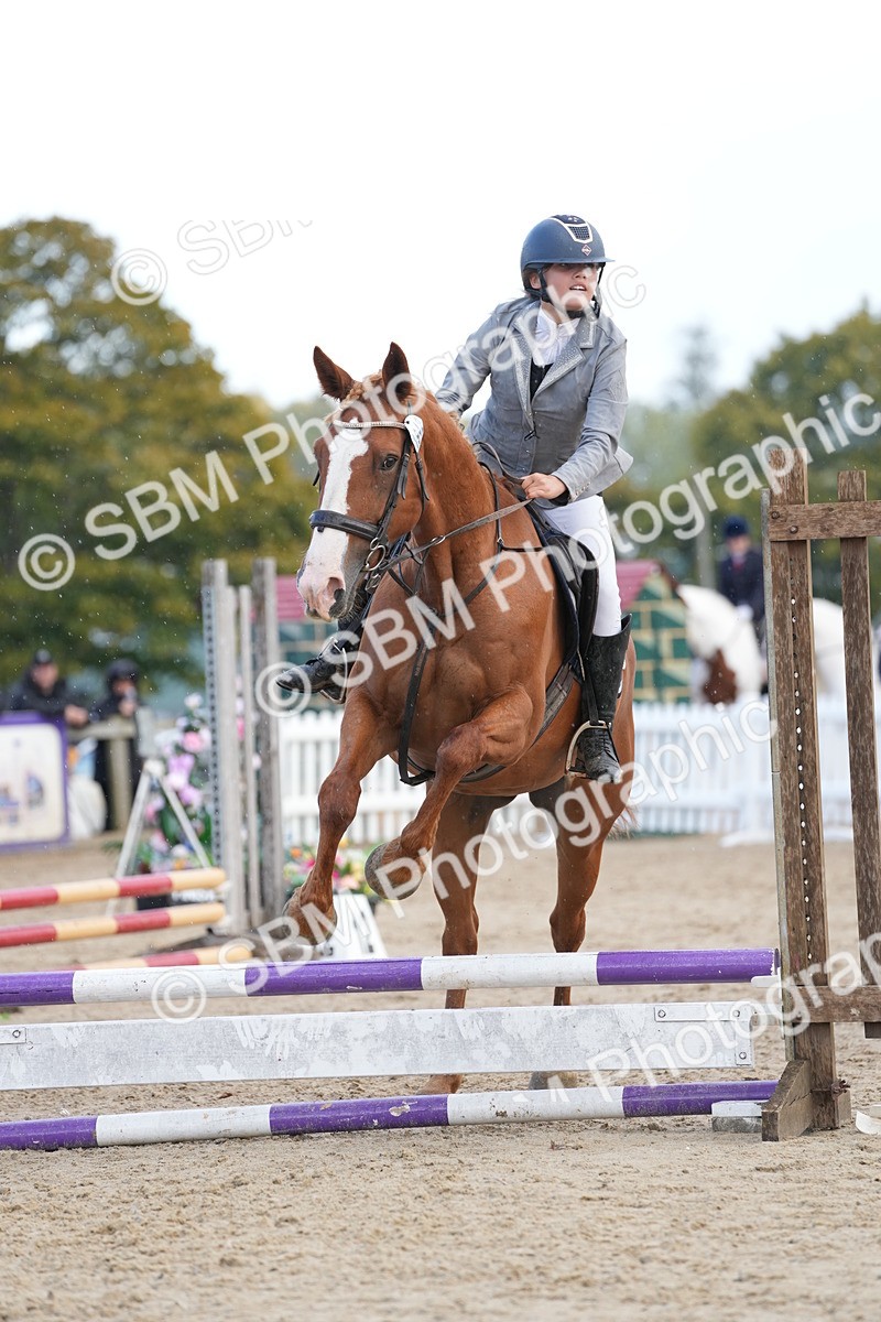 SBM_21178 - J49 - Open 50cm