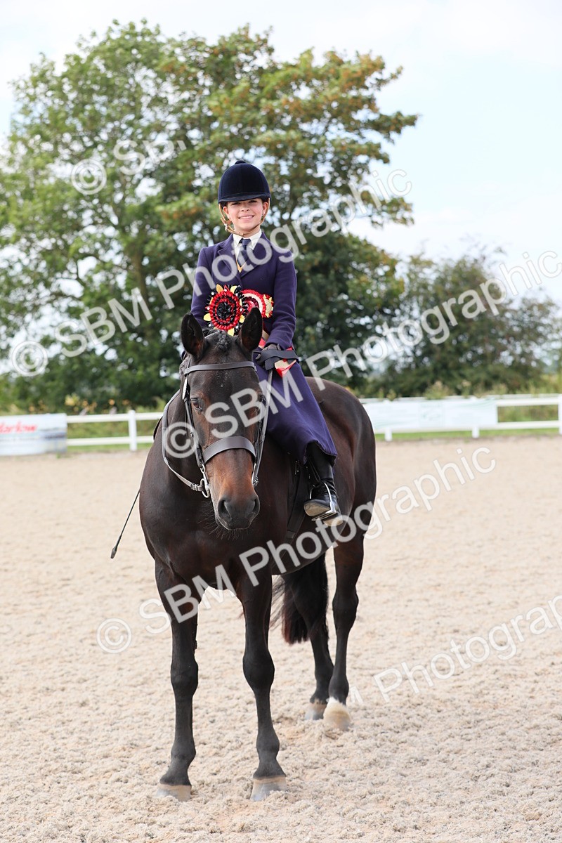 SBM_14601 - Class 211 Best Side Saddle Horse/Pony