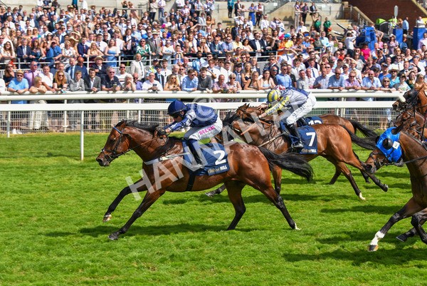 270523-Race 3-Chipstead-4238 - Race 3 2.40pm William Hill Epic Boost Handicap