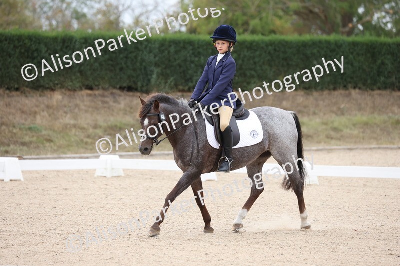 20250819-0878 - Class 2 - Prelim 1