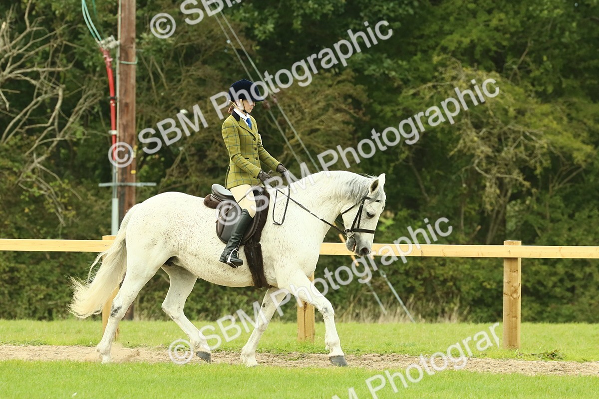 SBM_71862 - S60 - Mountain & Moorland Ridden Large Breeds