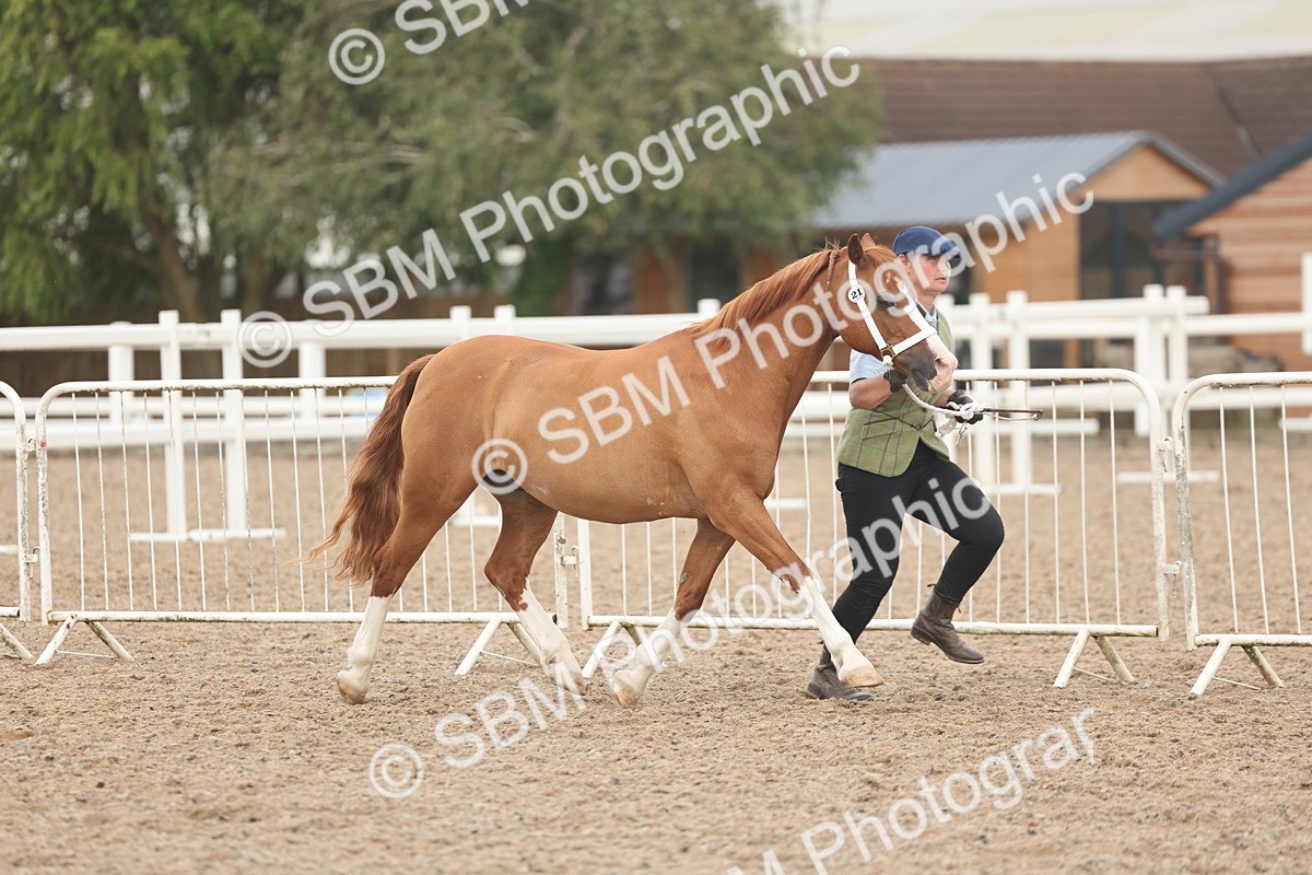 SBM_08475 - Class 29 - IH Veteran Pony