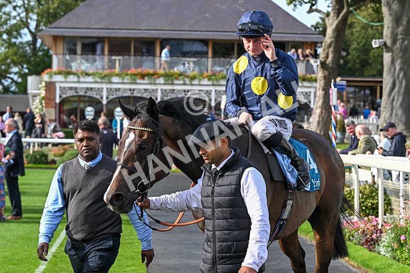 060926-Race 6-Power Fizz-8908 - Race 6 4.25pm Eboracum Security Handicap
