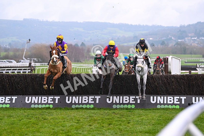 131224-Race 5-Dashel Drasher-9343 - Race 5