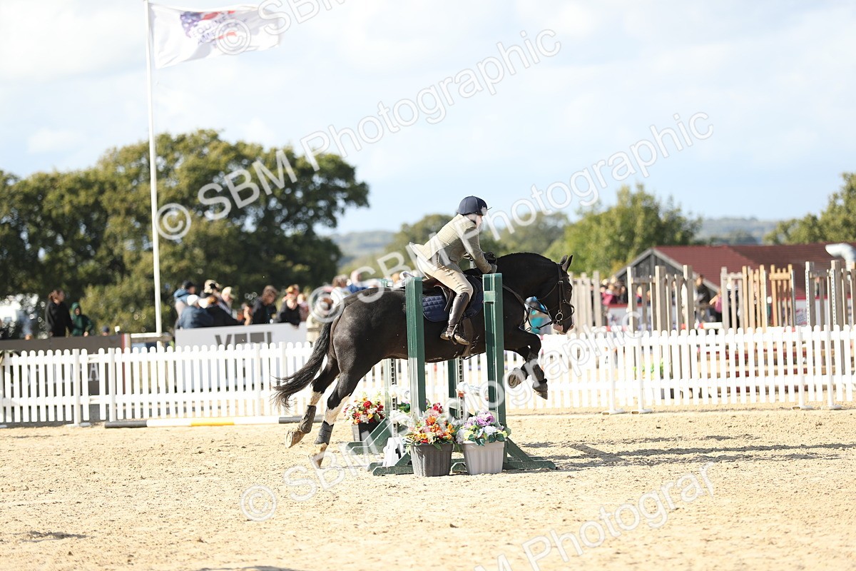 SBM_49580 - J22 - Junior Horse 65cm Championship