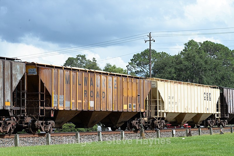 8th Aug 2017 - Folkston Funnel, GA