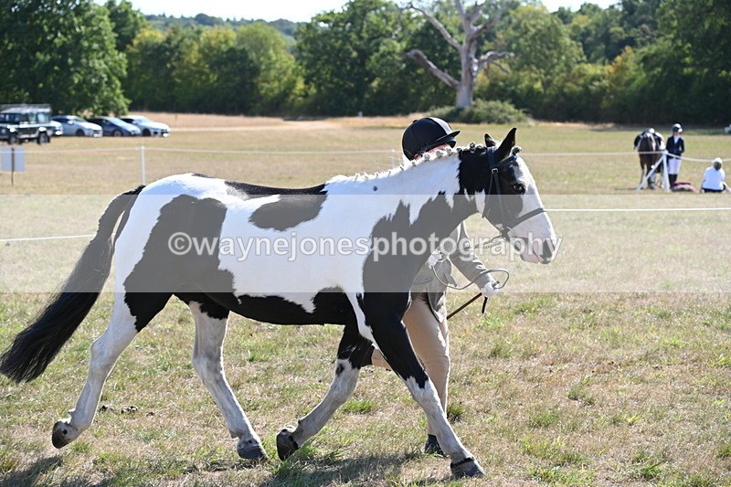 WJ6_7513 - Class 34 Judges Choice