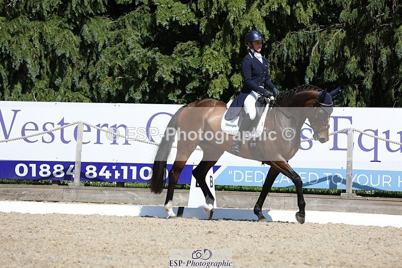 230526-151436-06657 - 379-QUIZICAL_Z-Alice_Hallows-WEDTrotUp+DR