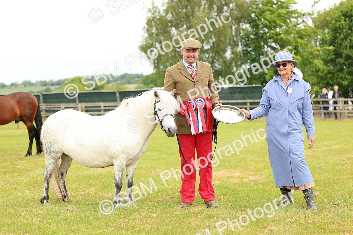 SBM_03589 - Class 58-67 - M&M Non Welsh Pony In hand