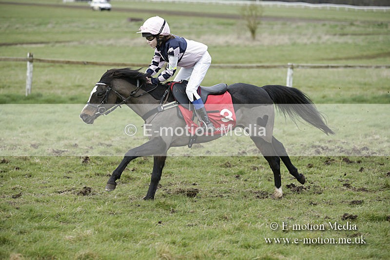 PtP 150320 0798 - New Forest Point-to-Point Larkhill 15/03/20