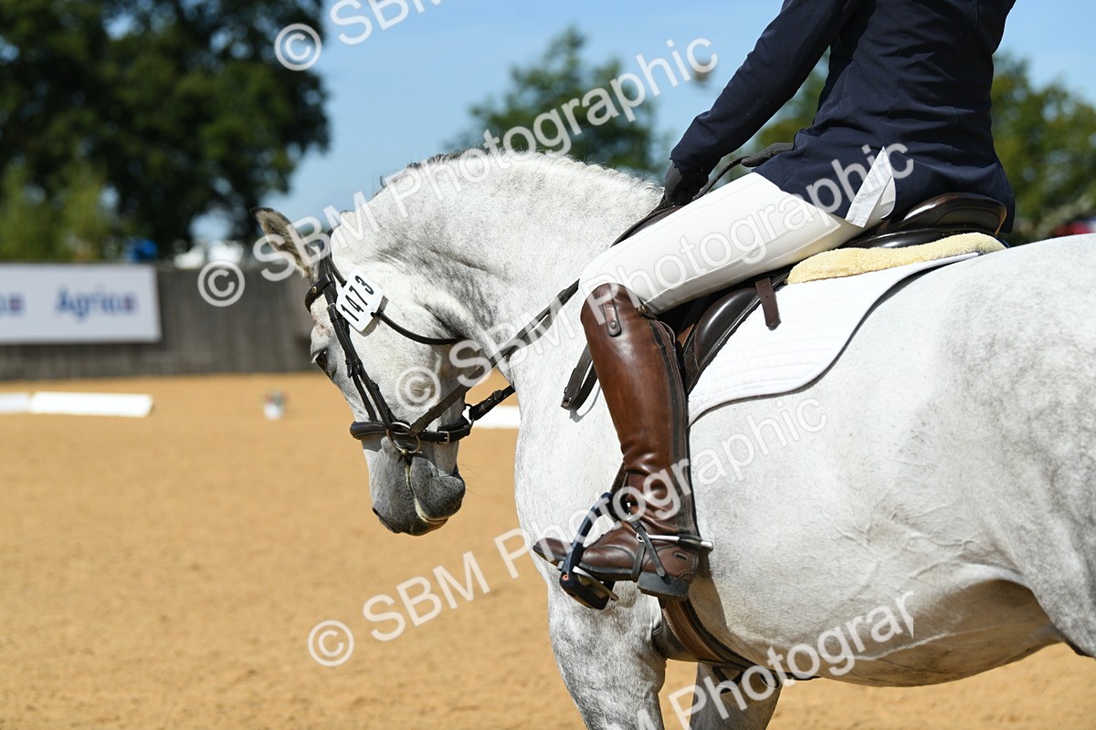 SBM_22656 - D13 - Grand Tour Championship - Prelim 12