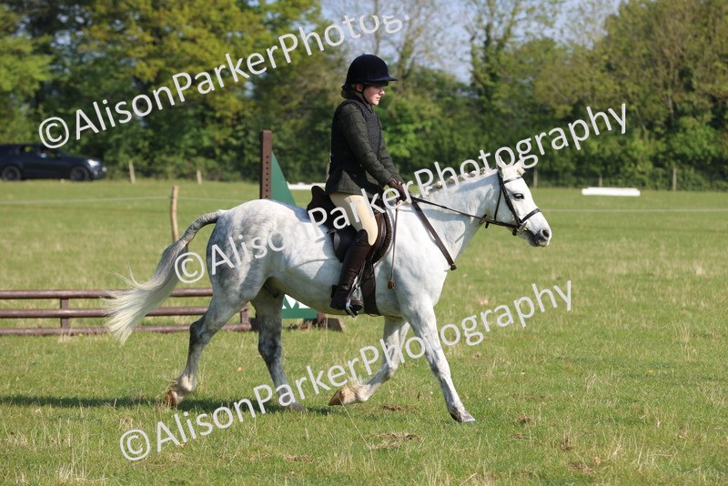 20250427-0568 - Class 17 - Novice Showing