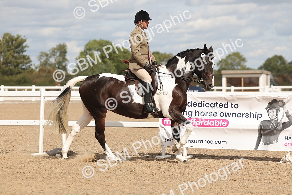 SBM_14877 - Class 308 - Ridden Coloured Horse