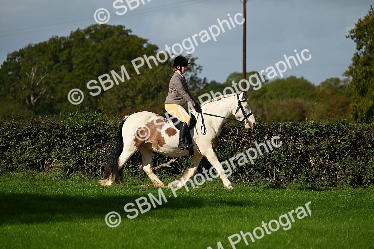 SBM_01285 - S2 - TSR Ridden Horse Showing